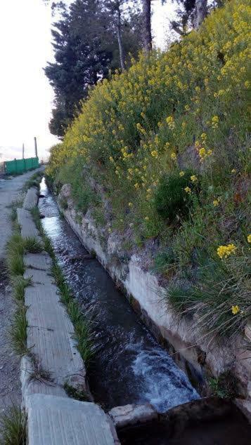 Penzion La Casa De La Acequia Serón Exteriér fotografie