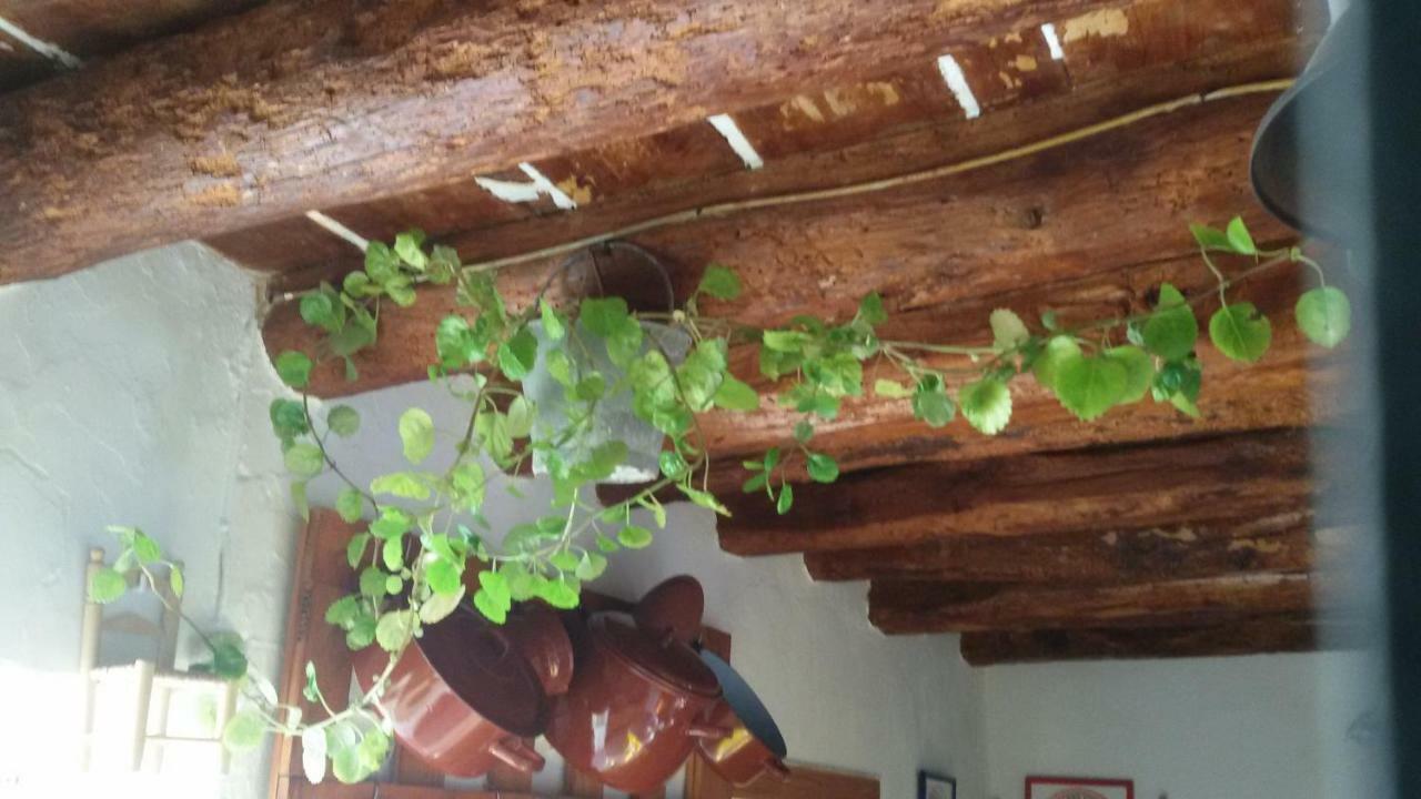 Penzion La Casa De La Acequia Serón Exteriér fotografie